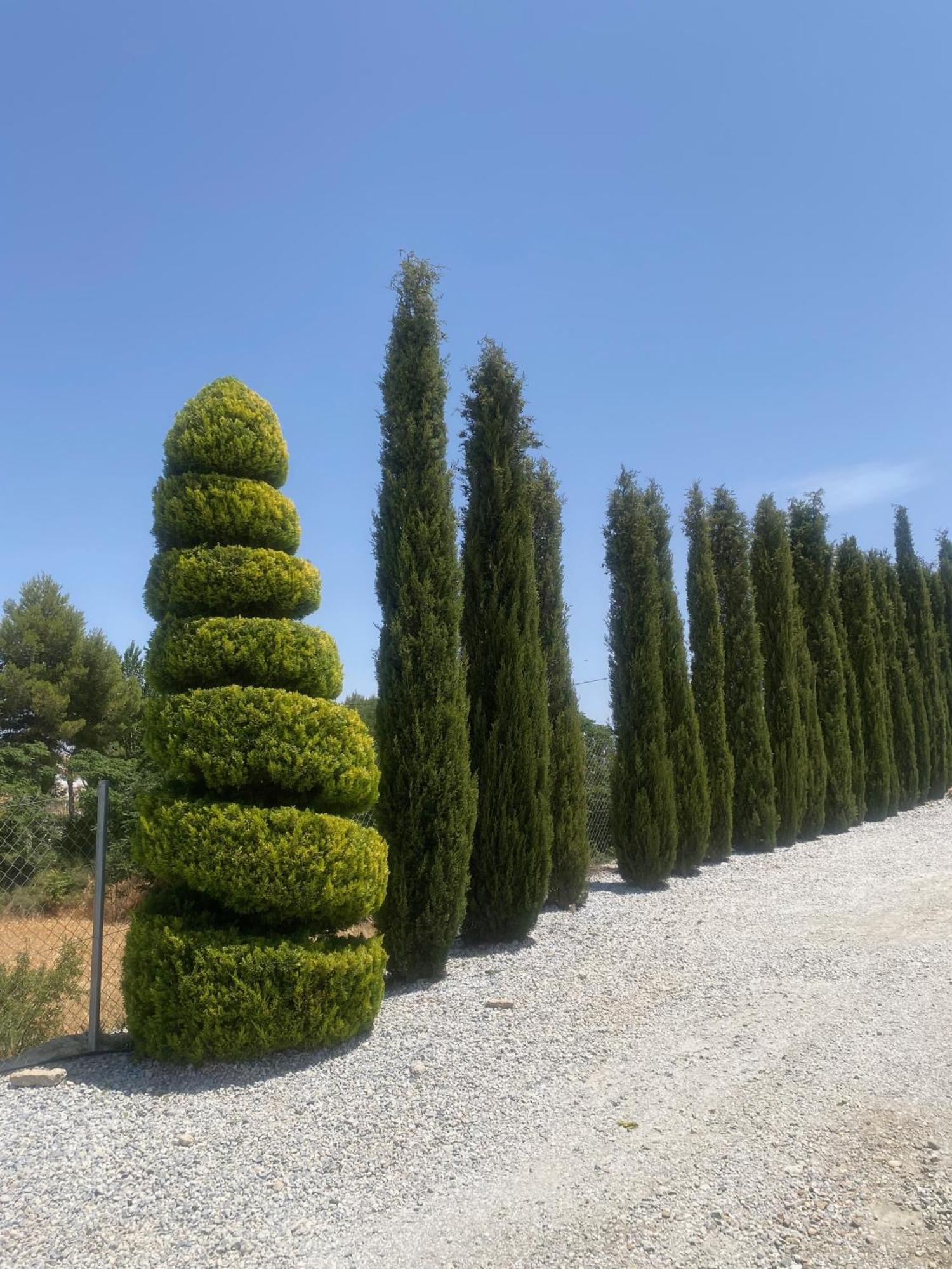 Cuevas Helena Villa Benamaurel Dış mekan fotoğraf